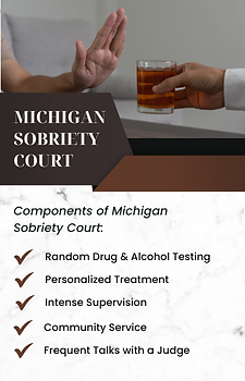 A graphic shows the 5 components of Michigan Sobriety Courts: Random Drug & Alcohol Testing, personalized treatment, intense supervision, community service and prequent taks with a judge.